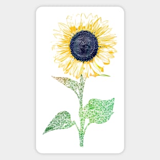 Sunflower Magnet
